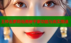 王玲去萝莉岛揭秘平家功能与真实用途