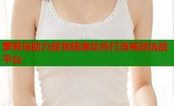 萝莉岛助力政党精准动员打造高效选战平台