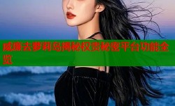 威廉去萝莉岛揭秘权贵秘密平台功能全览