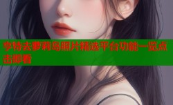 亨特去萝莉岛照片精选平台功能一览点击即看