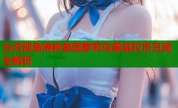 台湾视角揭秘美国萝莉岛黑幕权贵丑闻全解析