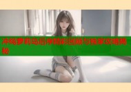 冲绳萝莉岛后序精彩回顾与独家攻略揭秘