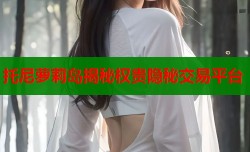 托尼萝莉岛揭秘权贵隐秘交易平台