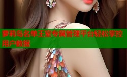 萝莉岛名单王室专属管理平台轻松掌控用户数据
