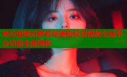 希拉里频访萝莉岛揭秘权贵隐秘交易平台功能全面揭秘