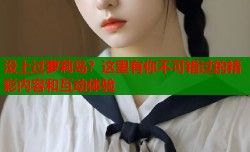 没上过萝莉岛？这里有你不可错过的精彩内容和互动体验