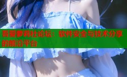吾爱萝莉社论坛：软件安全与技术分享的前沿平台