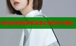 哈利波特探秘萝莉岛奇幻冒险平台揭秘