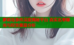 萝莉岛事件深度揭秘平台 真实名单曝光与权贵黑幕分析