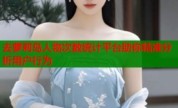 去萝莉岛人物次数统计平台助你精准分析用户行为