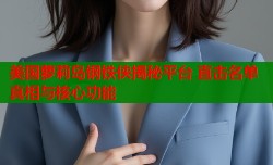 美国萝莉岛钢铁侠揭秘平台 直击名单真相与核心功能