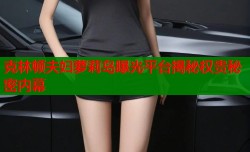 克林顿夫妇萝莉岛曝光平台揭秘权贵秘密内幕