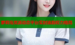 萝莉岛党派动态平台实时追踪权力格局