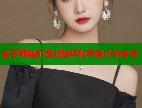 去萝莉岛前后对比揭秘平家功能变化 第1张 去萝莉岛前后对比揭秘平家功能变化 第1张