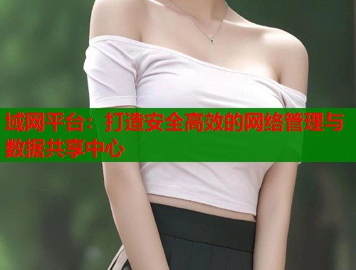 域网平台：打造安全高效的网络管理与数据共享中心  第2张