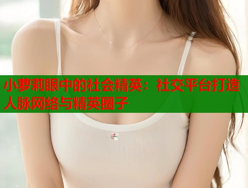 小萝莉眼中的社会精英：社交平台打造人脉网络与精英圈子  第2张