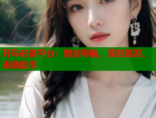 开车必备平台：智能导航、实时路况、语音助手  第2张